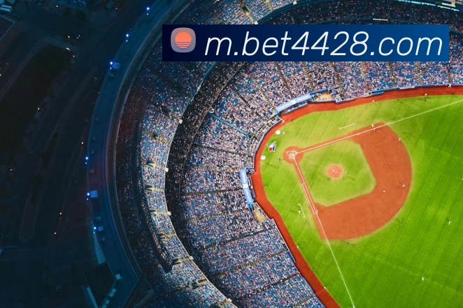 bet365comAPP 封面图